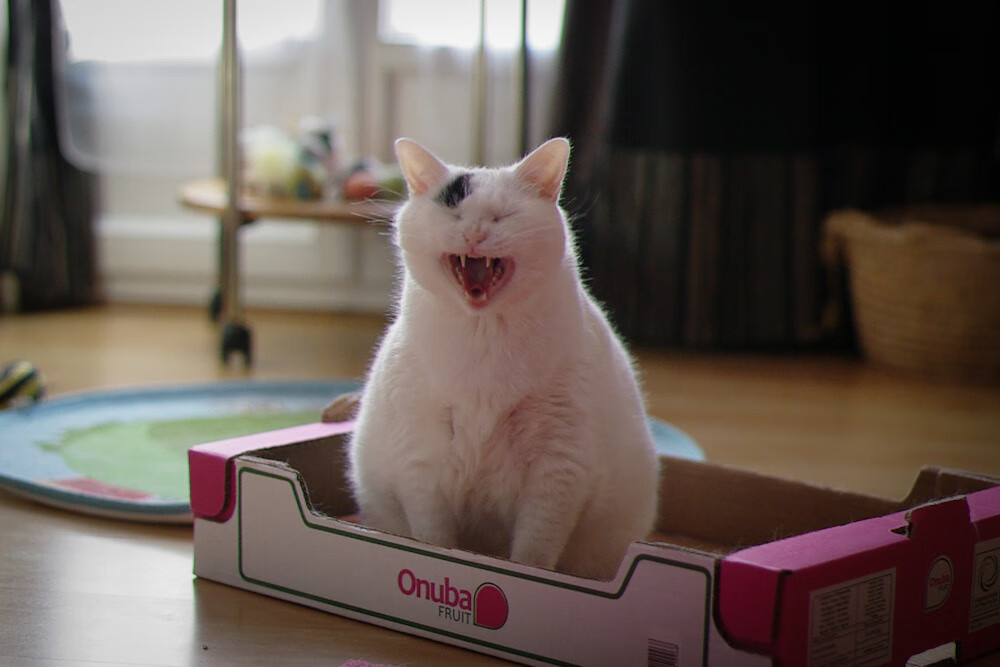 乐鱼体育-“中国足球产业创新联盟成立，推动产业升级”，中国足球产业发展现状