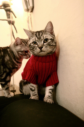 “绿色场馆+智慧管理”成为行业发展新风向,绿色智慧工厂