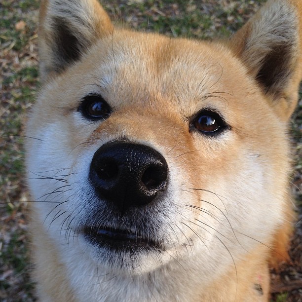 “绿色梦想”青少年篮球环保行动在青海持续推广,绿色运动新风尚