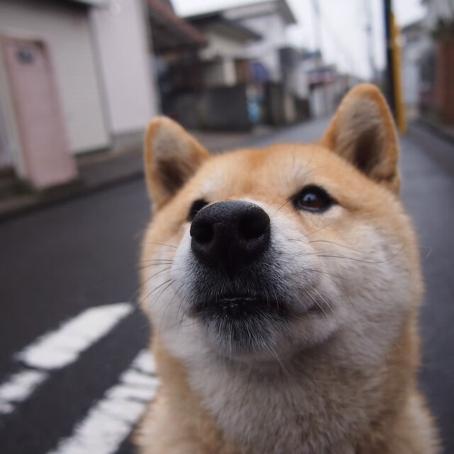 乐鱼电竞在线平台-“绿色生态场馆+智能管理”成为行业新标配，行业基础更牢固，绿色生态长廊什么意思
