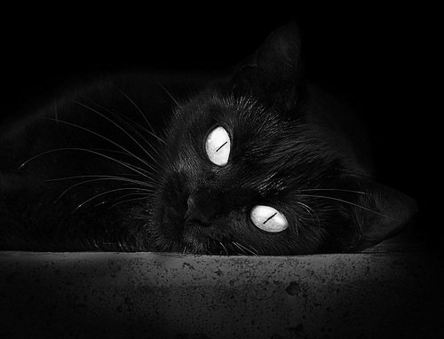 乐鱼电竞在线平台登录入口-“英超新星崭露头角，成为球队未来希望”，英超新赛季前瞻