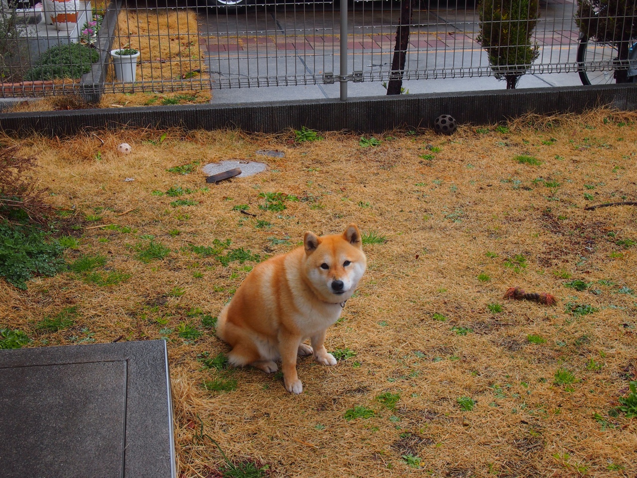 【规则制定】联盟未来可能推出的新规大揭秘，联盟规则大全