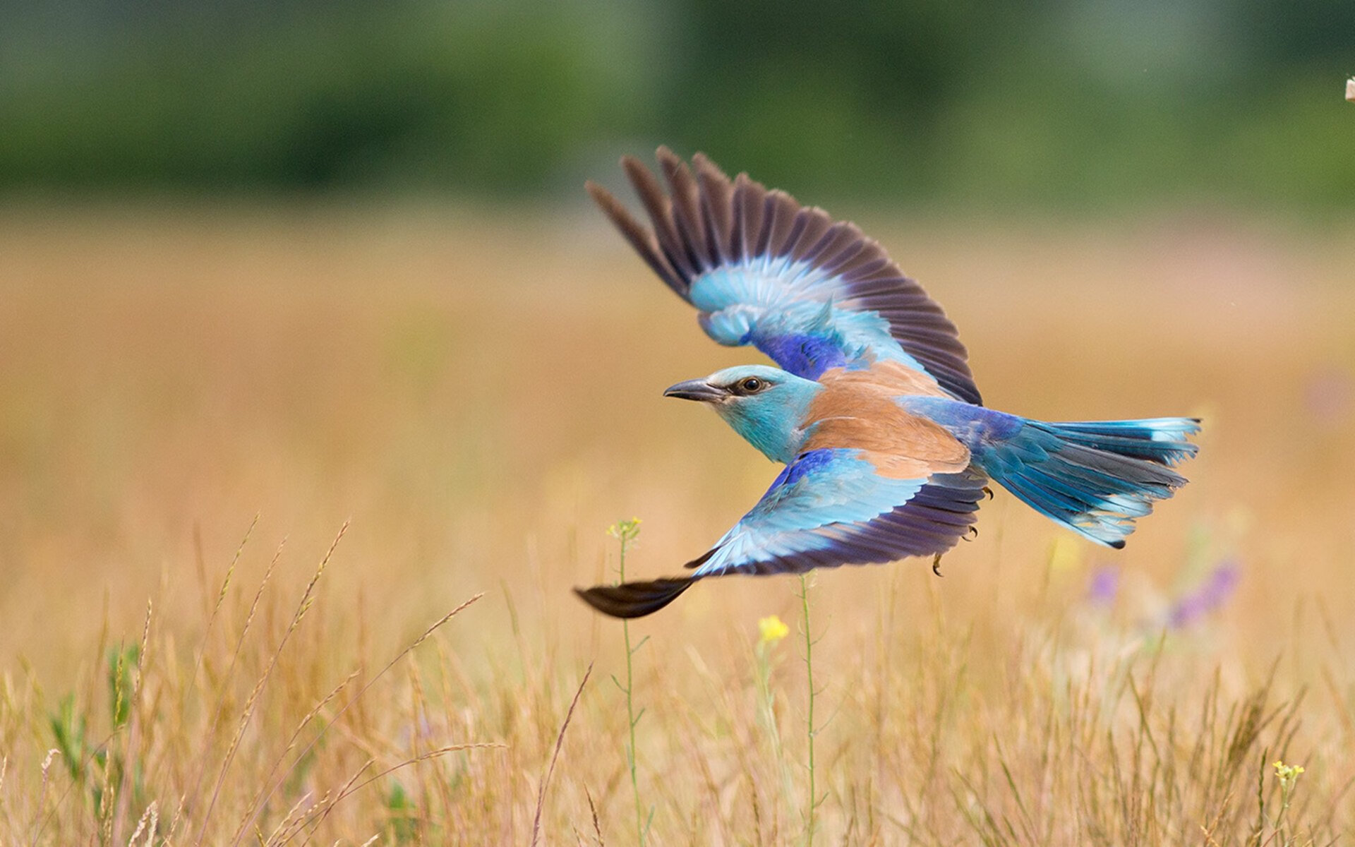 全场聚焦:李明砍下28分,主宰比赛局势!,李明集锦