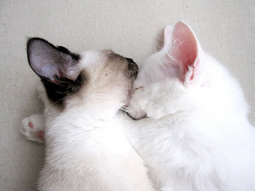 名场面集锦:瞬间点燃全场的精彩镜头,名场面之一