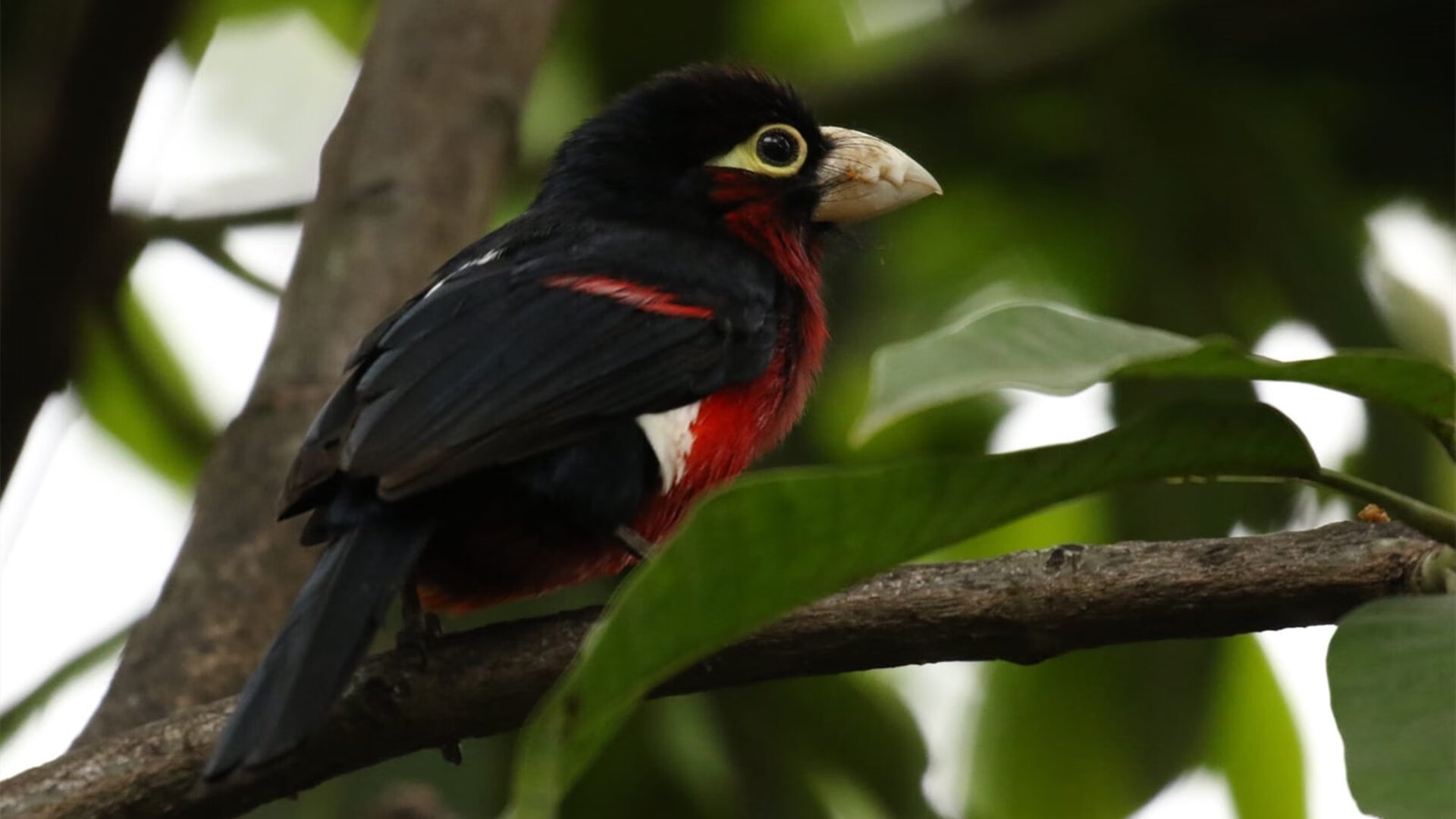 乐鱼电竞在线平台-女足联赛激战正酣，竞争激烈，女足对阵