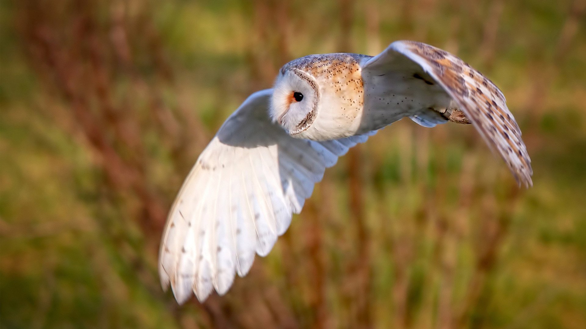 水上漂流趣味比赛,激流勇进的水上冒险,水上漂流儿童画