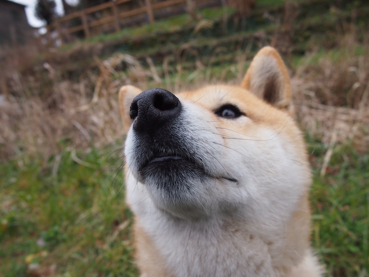 乐鱼电竞在线平台-水上飞人秀：极速飞跃水面，水上飞人原理百度百科