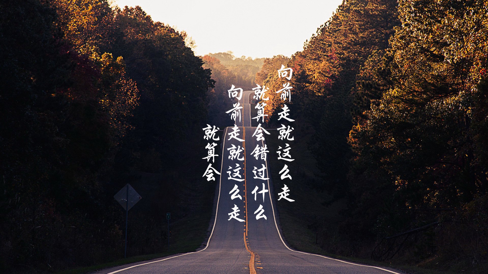 美国反曲弓女队在洲际射箭锦标赛中获得亚军,反曲弓 美式猎弓