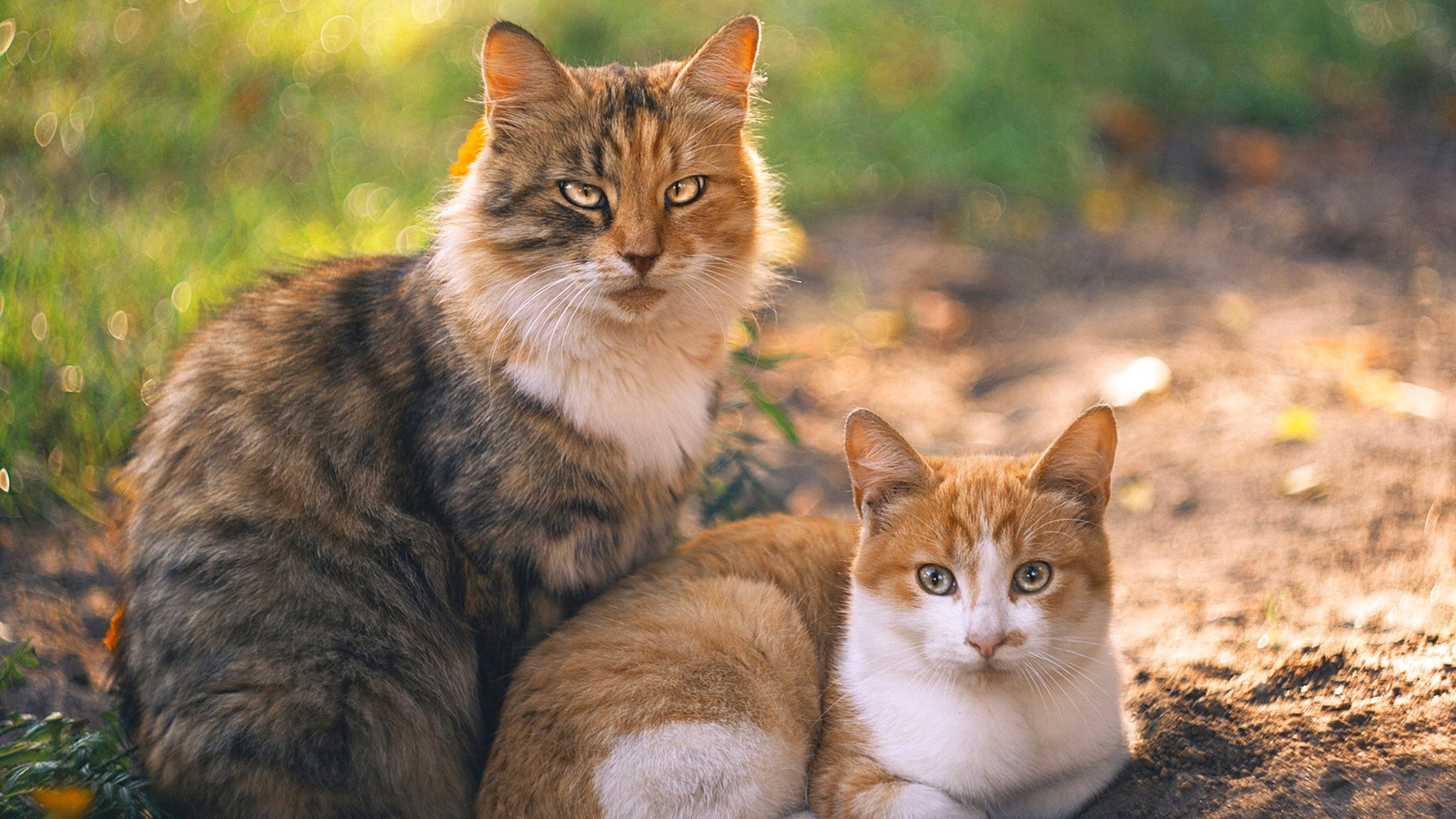七六人进攻乏力输给猛龙，七六人队大名单