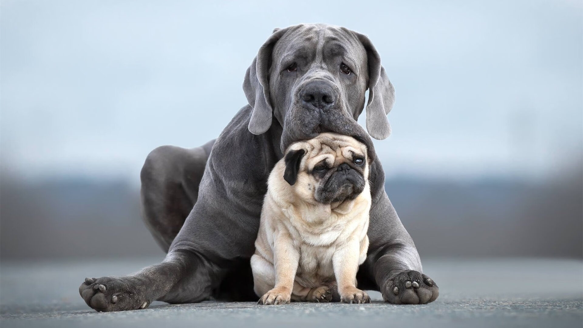 下载乐鱼体育APP-勇士库里手感火热引爆主场，库里状态神勇引领球队,勇士队走回正轨