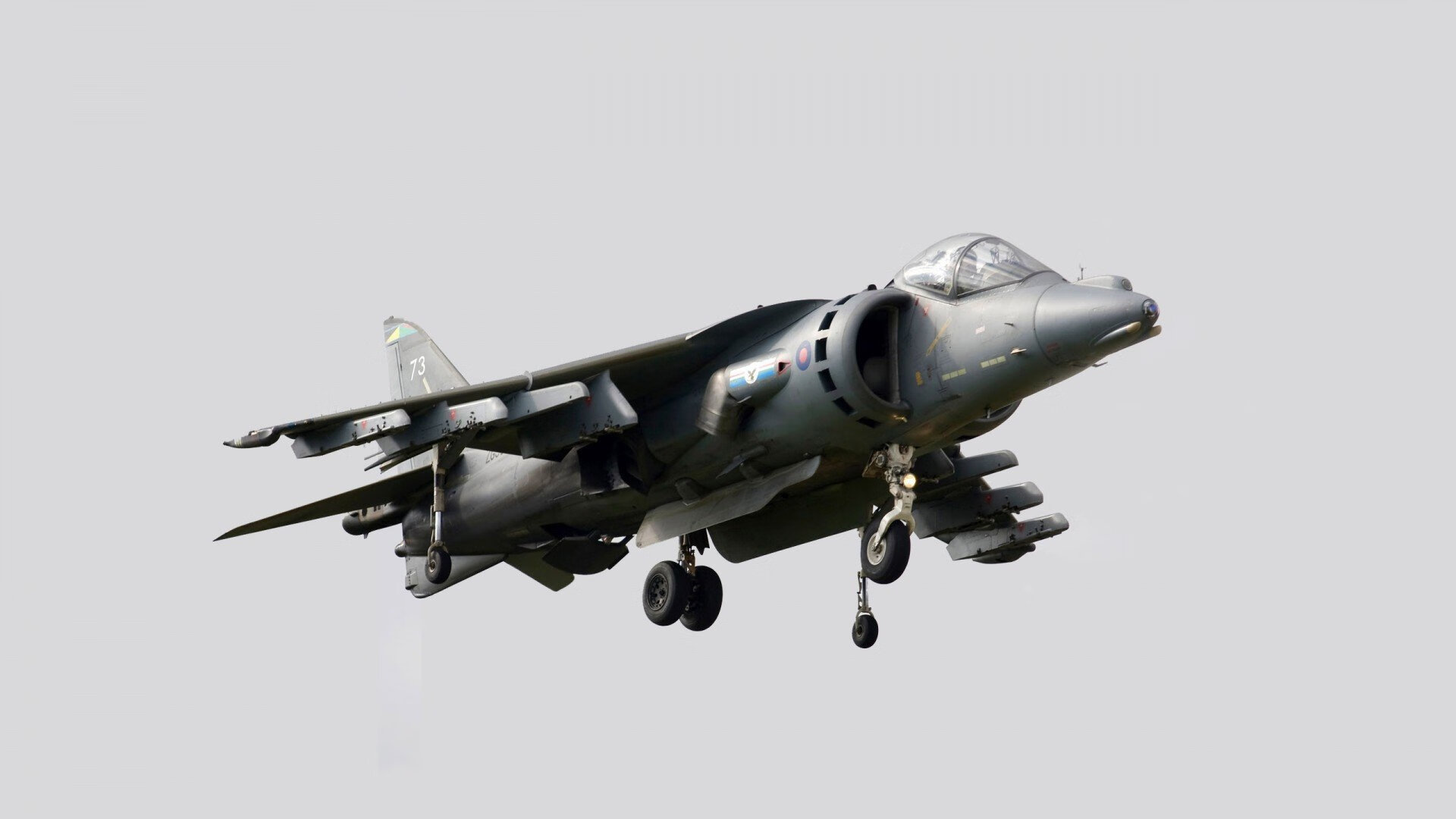 外援依赖是否导致本土球员缺乏机会,外援球员入籍