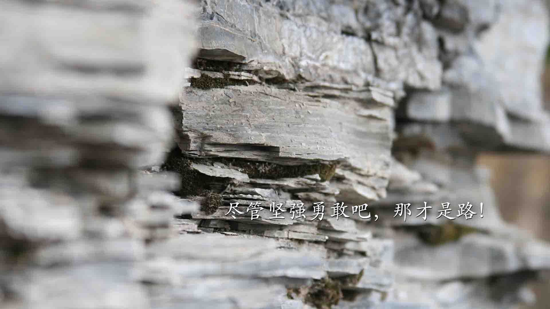 乐鱼（中国）体育官方网站-尤文图斯客场取胜，挽救晋级希望，尤文图斯2021客场