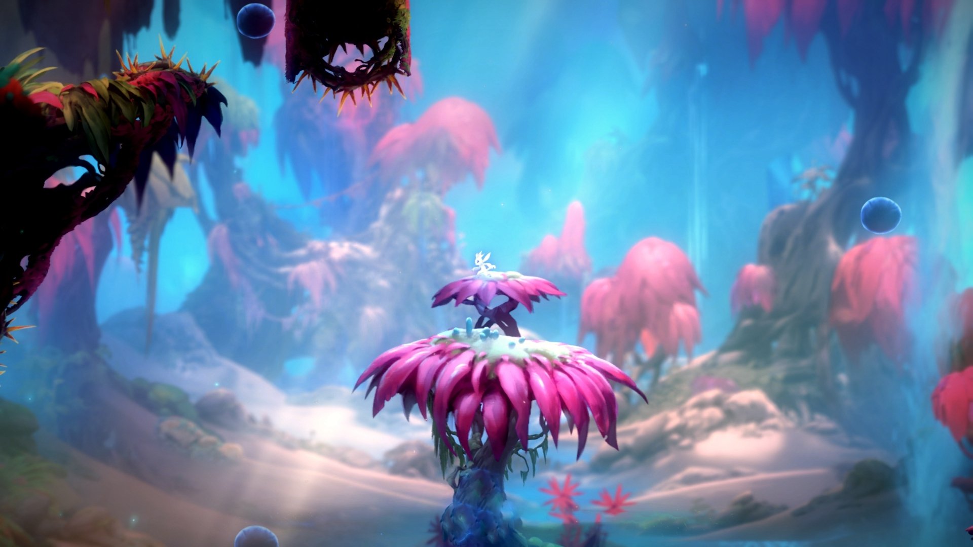 梯队上升通道是否应制度化避免人为干预,阶层上升通道