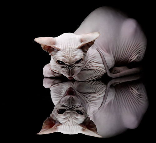 维达德卡萨布兰卡引进外援球员，增强球队实力，卡萨布兰卡astimegoesby