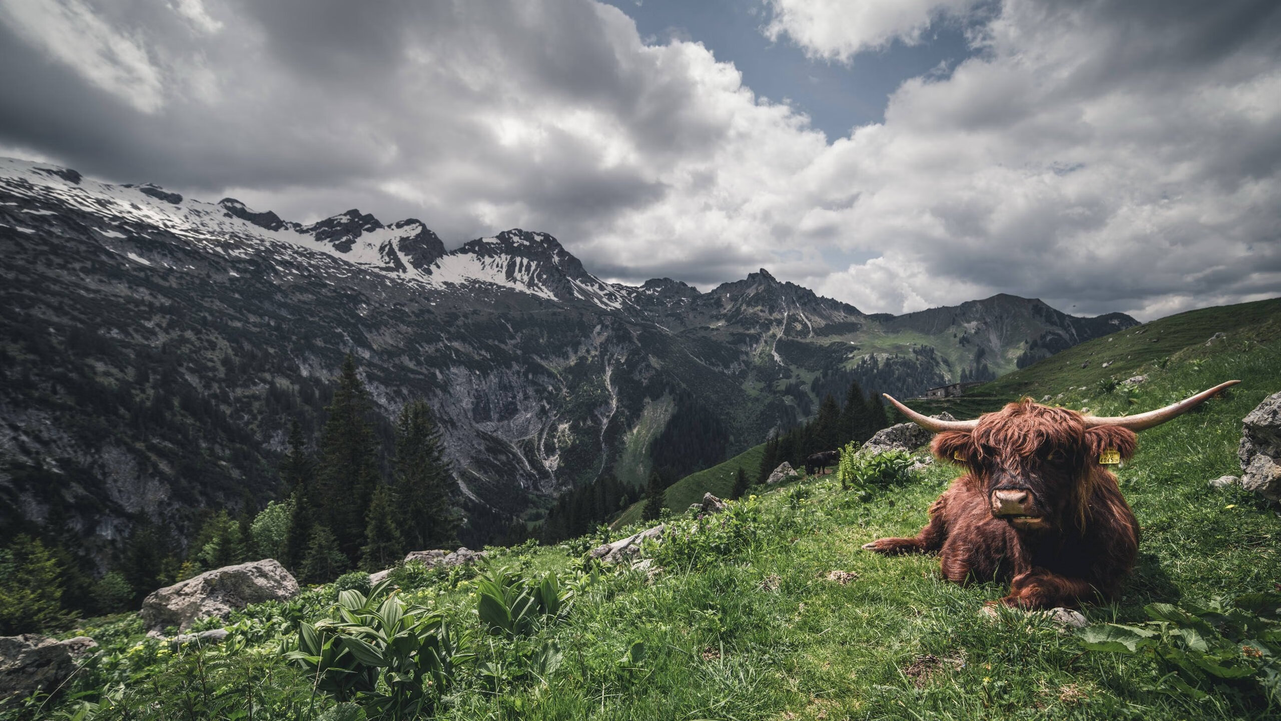 足球赛场上各队风云际会,竞争日渐激烈,足球比赛参赛队伍别称