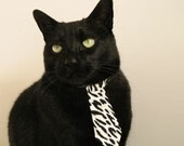 陕西主场力拼四川,决胜关头表现重要,陕西国力主力阵容