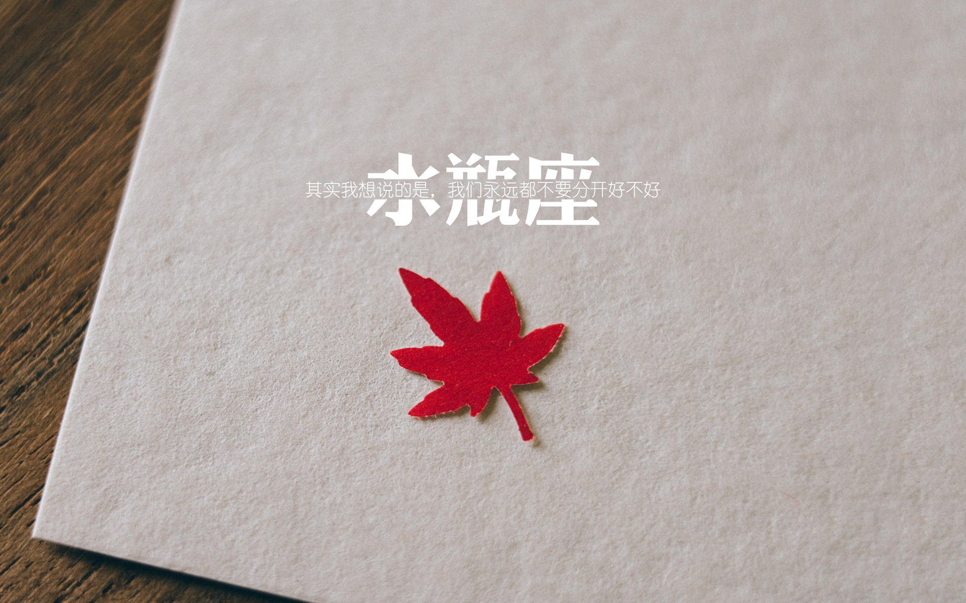 黄蜂队签下大牌球员 转会签约正式达成，黄蜂队球员名单最新