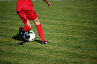 乐鱼vip-中国篮球教练员职业发展规划及培训体系，篮球教练员职业生涯规划