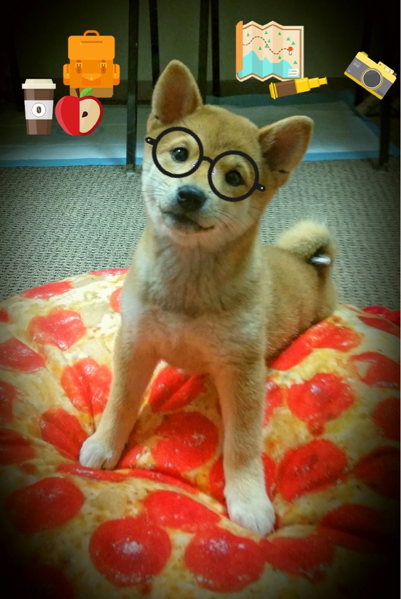 全国青年足球锦标赛华南队勇夺头名,全国青年足球联赛