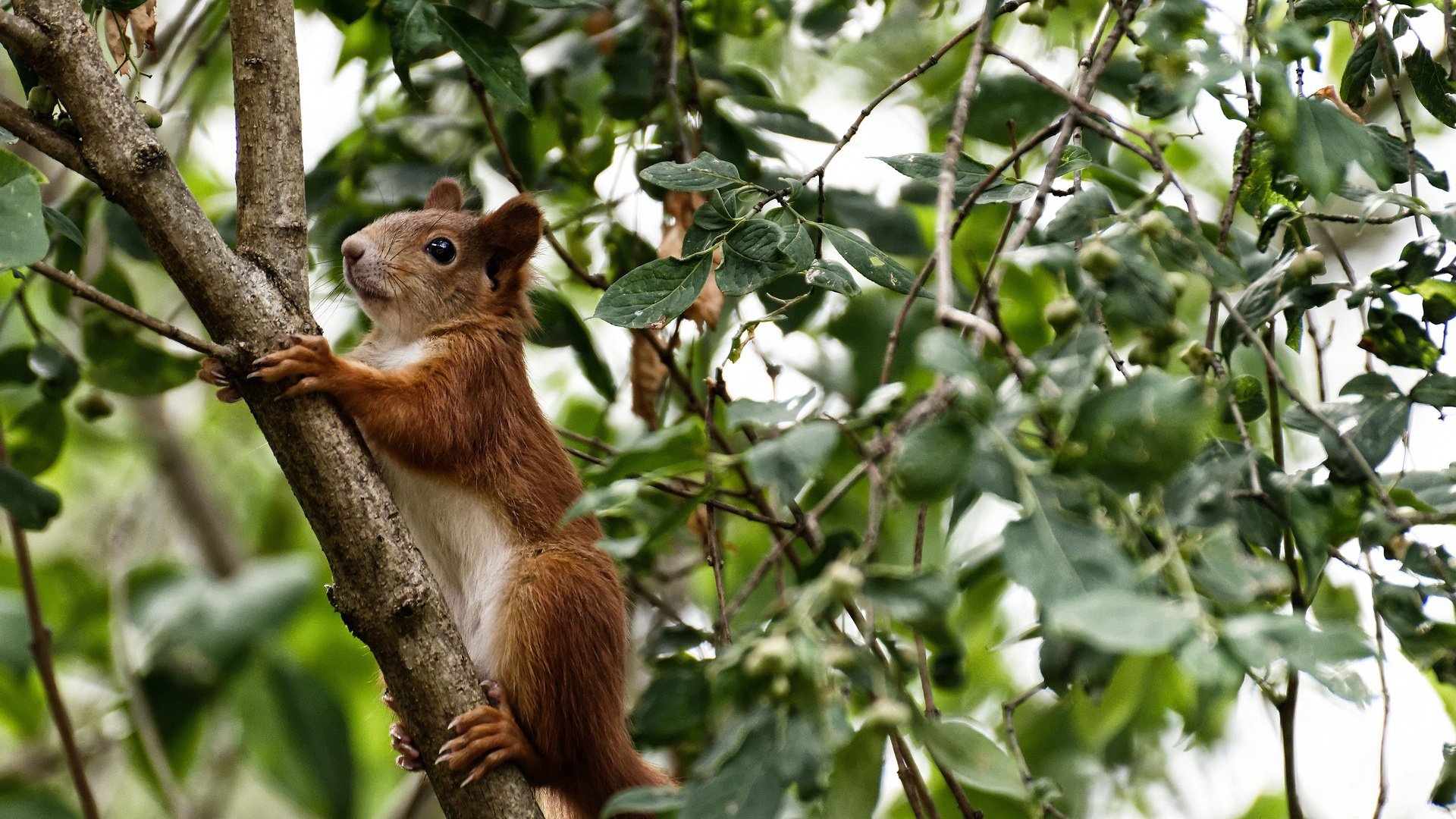 全民健身路径设施覆盖率达九成以上,全民健身路径是健身过程而不是健身器材