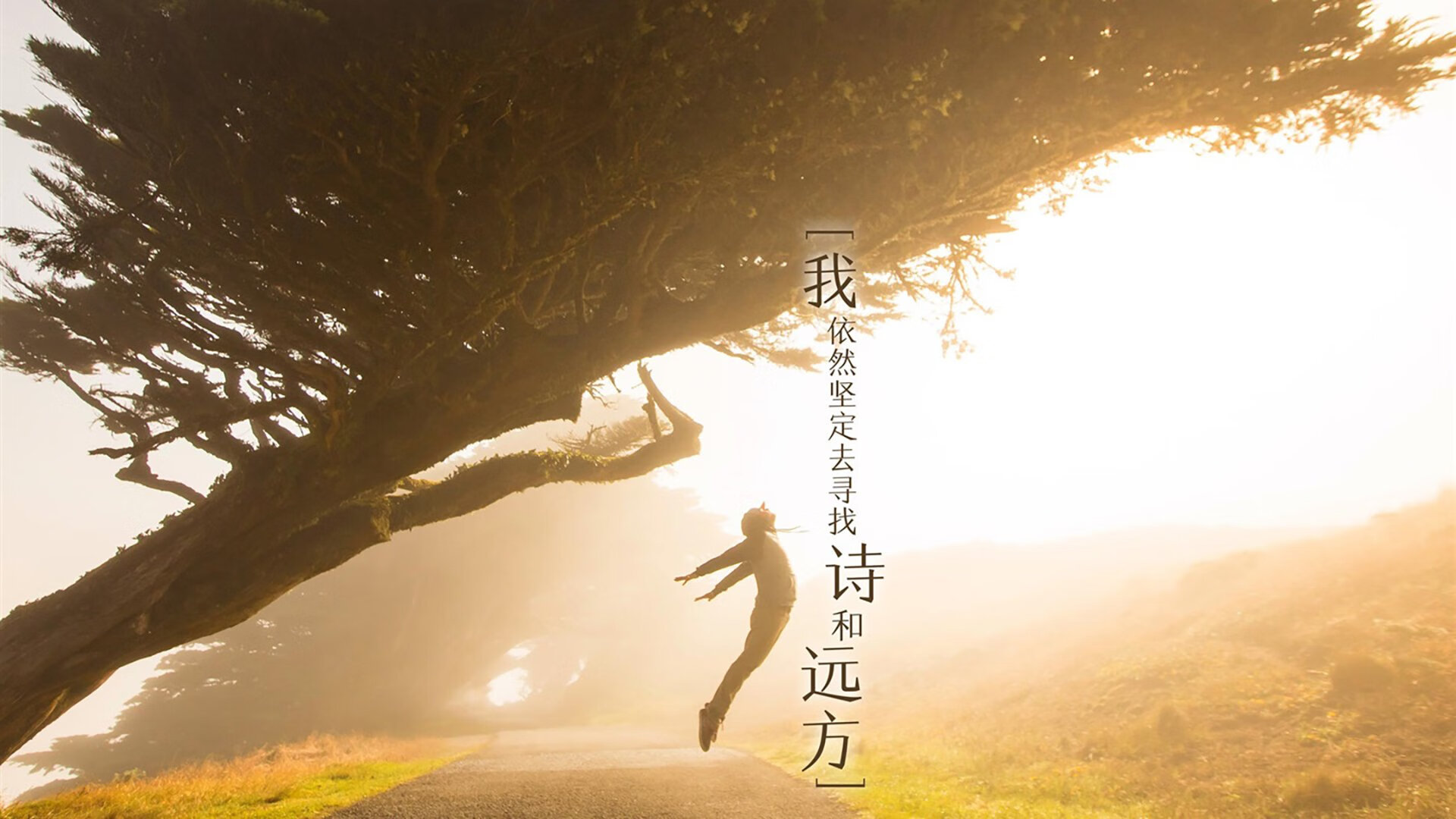 球队执行力训练细节升级模拟实战场景多样化,球队执行球员选项是什么意思