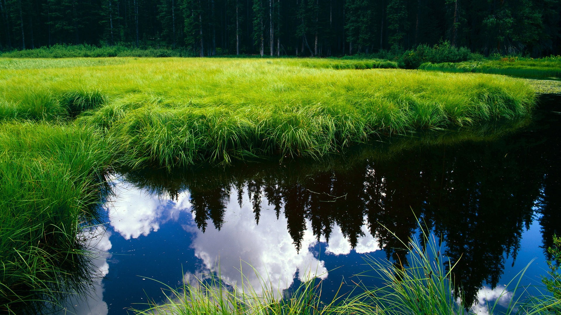 马术障碍赛国家集训队名单公布,马术障碍赛最高纪录