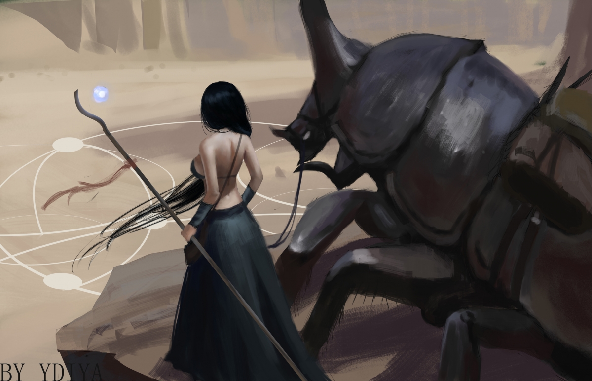 马术障碍赛国家集训队名单公布,马术障碍赛最高纪录