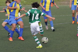 LeyuSports-国际足球协会推动足球全民普及，青少年参与度飙升，各国青少年足球注册人口