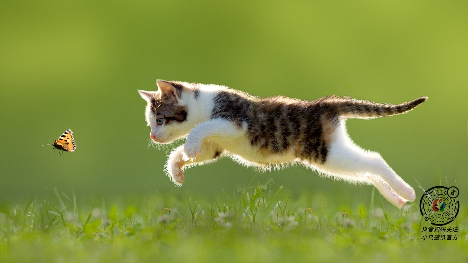 掘金发布训练纪录片呈现幕后奋斗故事,掘金english