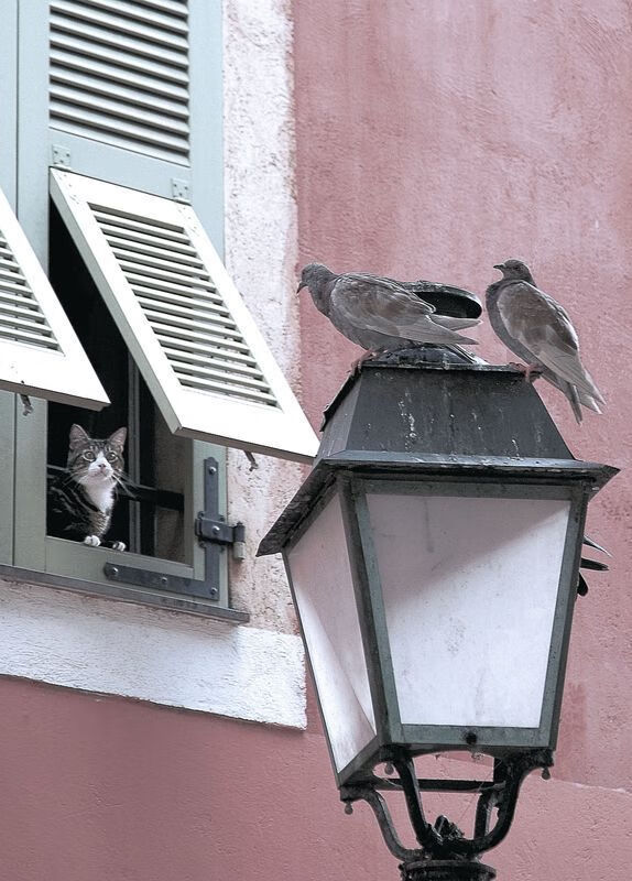 格鲁塞完美起跳助力成绩提升，格鲁尔16秒