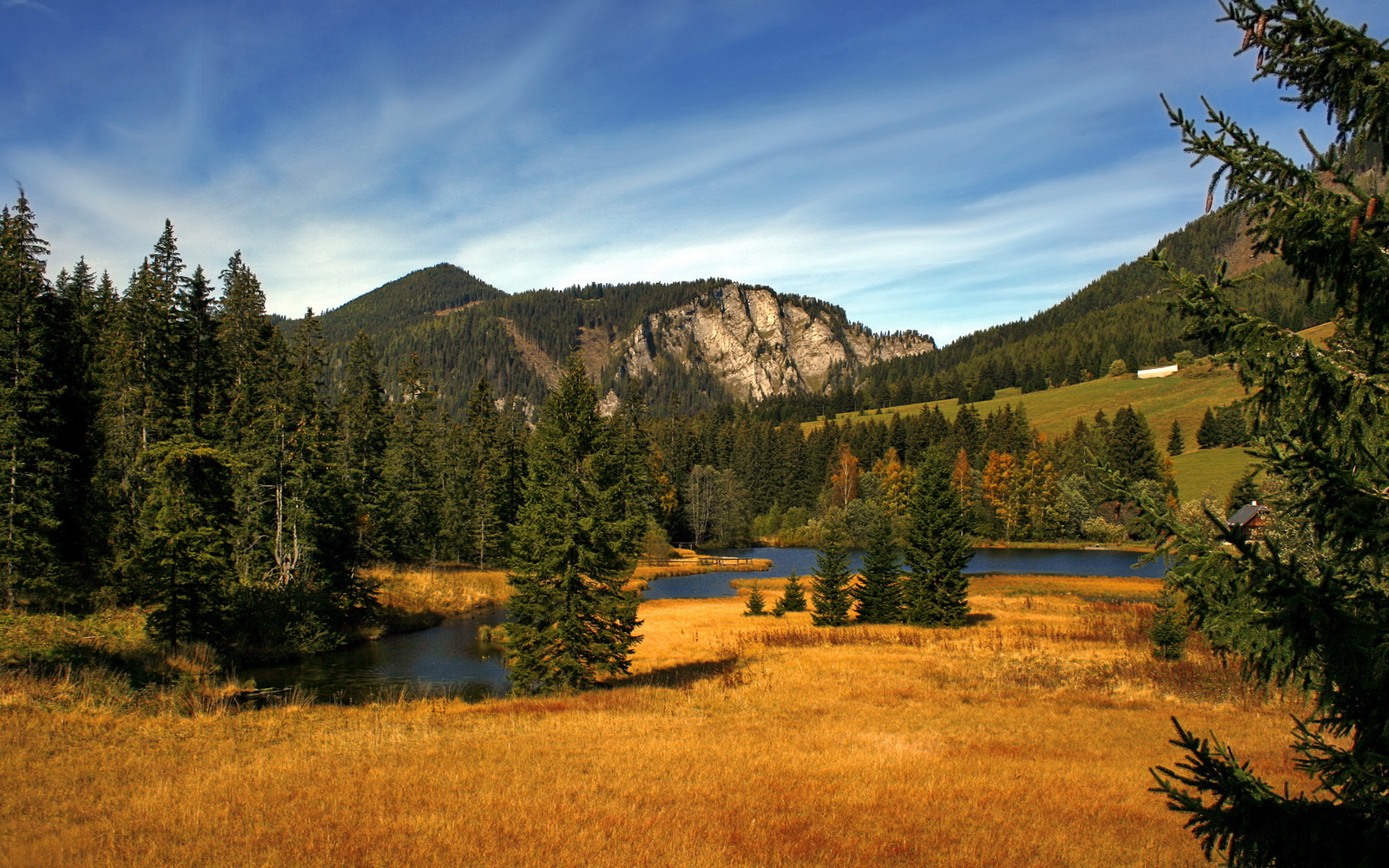 篮球暑期公开赛吸引众多年轻球员参与,2021暑期篮球