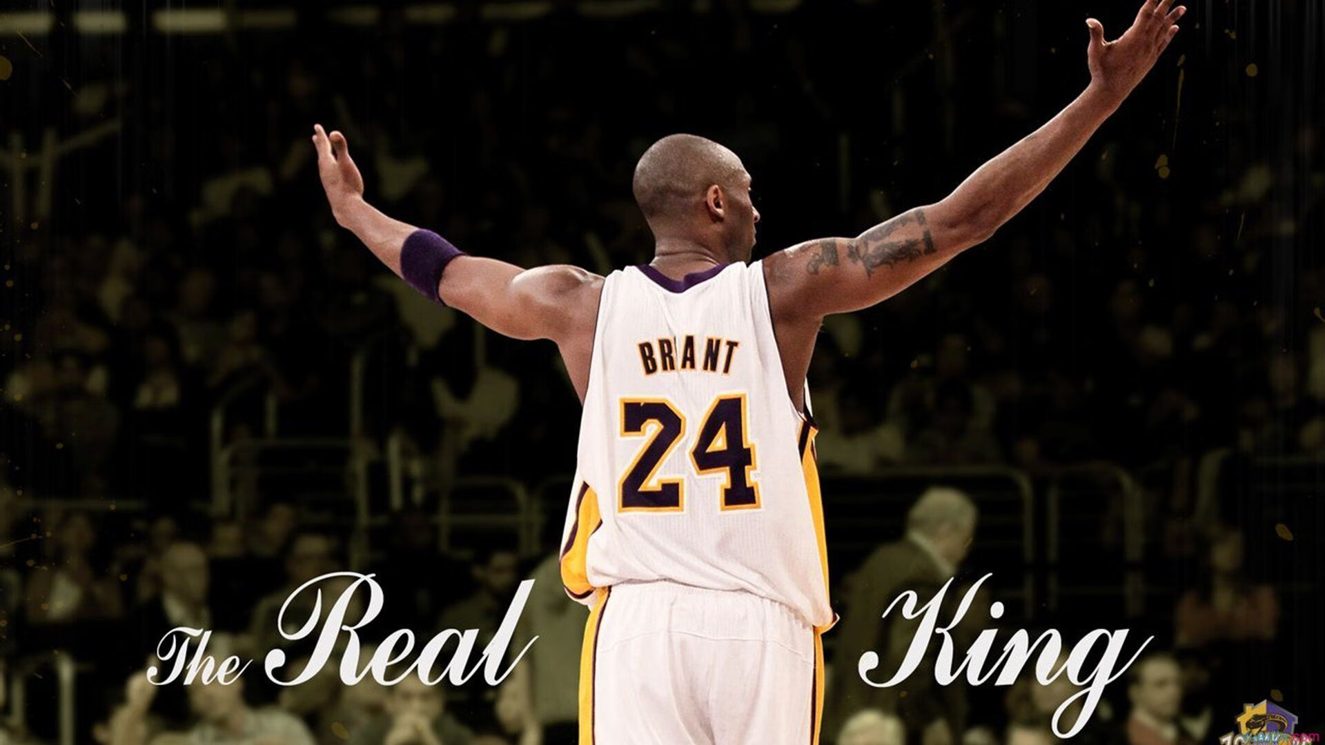 赛季“最值得期待的瞬间”:球迷投票揭晓最终冠军猜测,总决赛最有价值球员怎么评选