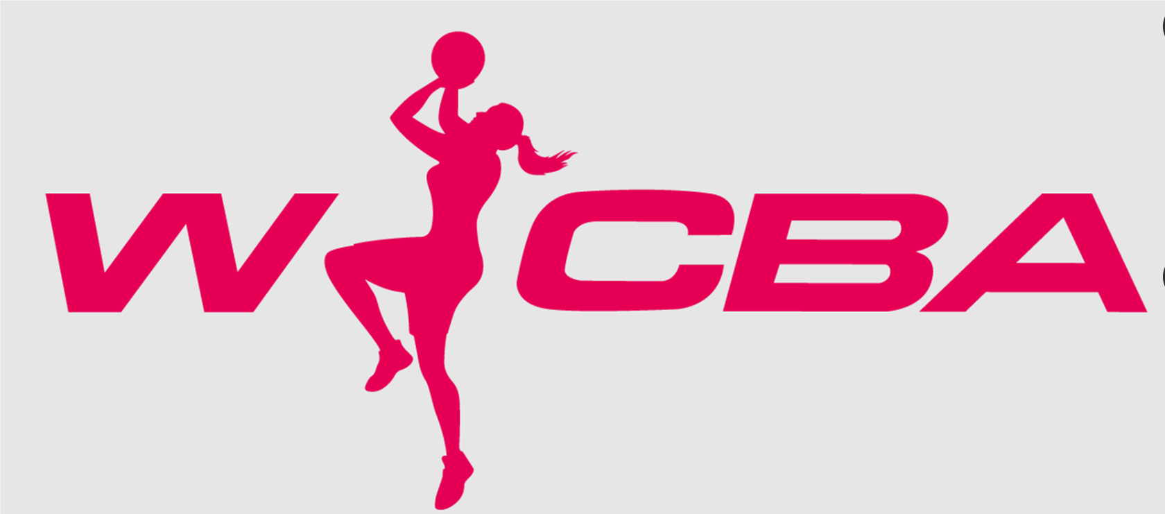 leyu.com:中国篮球的发展与未来:市场与技术的双重驱动 leyu.com:中国篮球的发展与未来:市场与技术的双重驱动